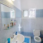 Apartment Amalia Sea View House *